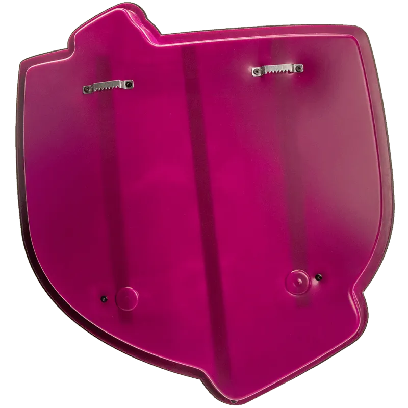 Kasteel Rubus Framboise LED sign