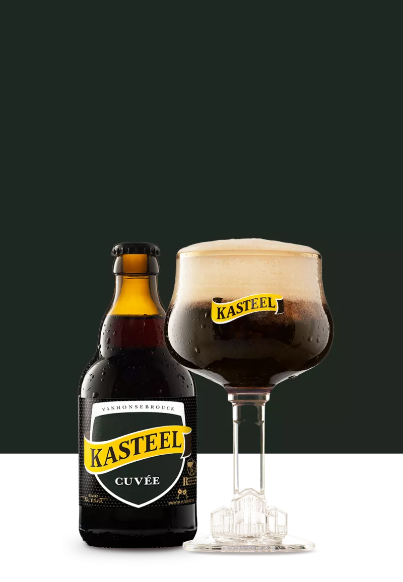 Kasteel - Vanhonsebrouck